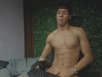 damon_sw webcam model stream image