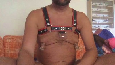 saubear2 webcam model stream image