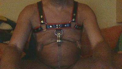 saubear2 webcam model stream image