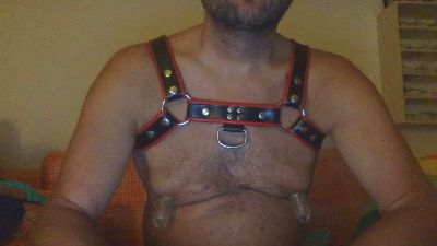 saubear2 webcam model stream image