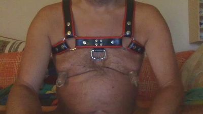 saubear2 webcam model stream image