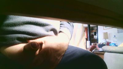 legov4 webcam model stream image