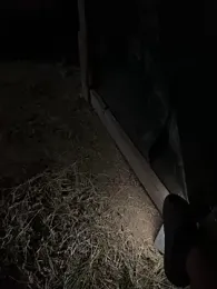 Axel74088 webcam model stream image