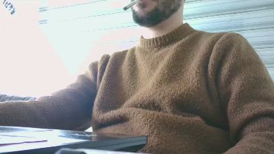 lapizero9 webcam model stream image