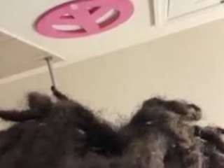 yalloveme322 webcam model stream image