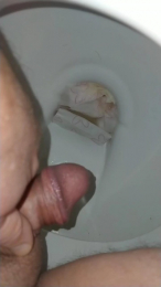 Duck20741 webcam model stream image
