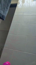 pettercat webcam model stream image