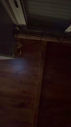 Itaalic webcam model stream image