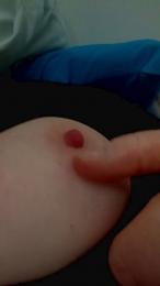 Ana2024 webcam model stream image