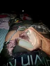 putoecachorro webcam model stream image