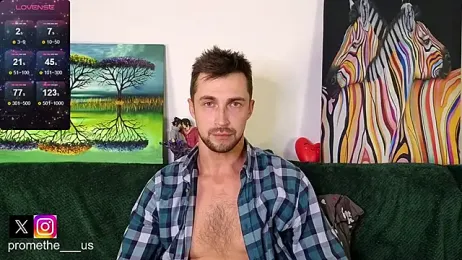 Promethe_us webcam model stream image