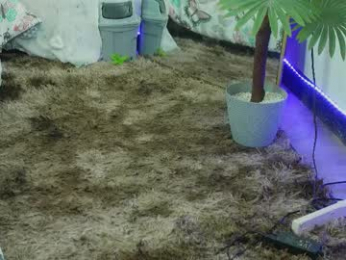 ashley_winhouse webcam chaturbate model stream image