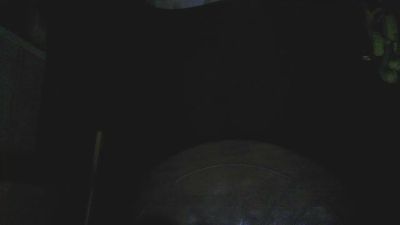 cochoco webcam model stream image