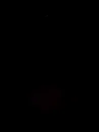Dirty-Bunnyyy webcam model stream image