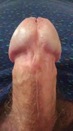 Beardeconflans webcam model stream image