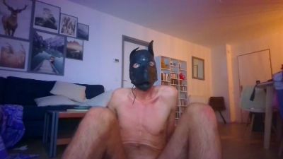 GayPuppychaste webcam model stream image