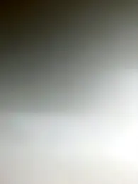 dulce_salado webcam model stream image