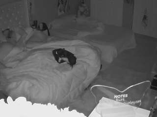 voyeurcam-house-charleys-room webcam model stream image