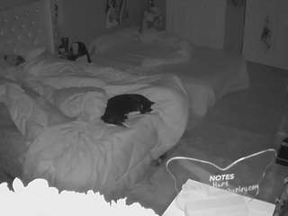 voyeurcam-house-charleys-room webcam model stream image