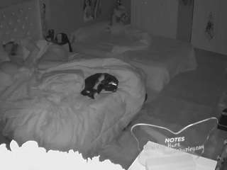 voyeurcam-house-charleys-room webcam model stream image