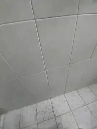 SilkyArchitecture8 webcam model stream image