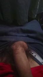 Tigrevk webcam model stream image