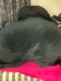 cardibabe webcam model stream image