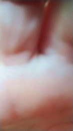 annabell8181 webcam model stream image