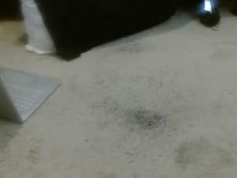 hollyhawkes webcam model stream image