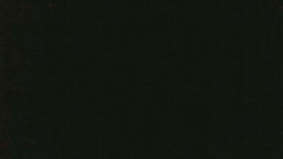 thlippen webcam model stream image