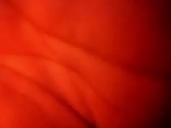 superred22 webcam model stream image