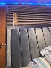 cody_fox10 webcam model stream image