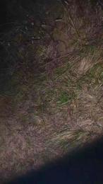 OmbraCremisi99 webcam model stream image