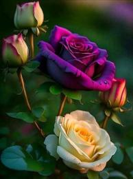 bastet3 webcam model stream image