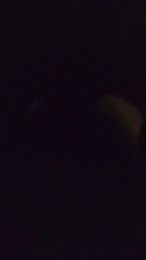 Juliotoro44 webcam model stream image