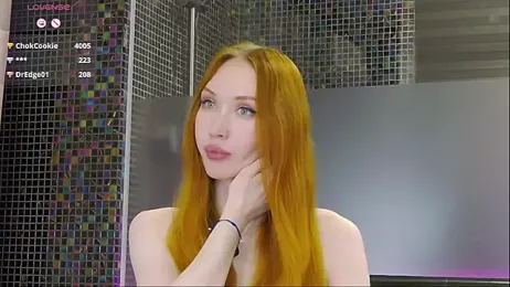 MayaSolar webcam model stream image