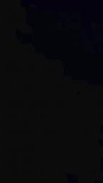 BilliGrey webcam model stream image