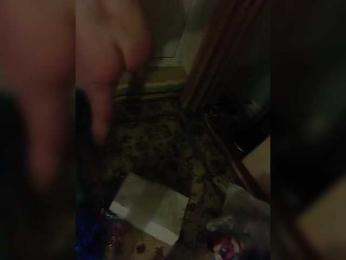 Sutener69-1 webcam bongacams model stream image