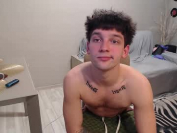 teddy_mode webcam model stream image
