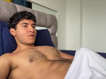 _reiner webcam model stream image