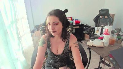 PetitSimonett webcam model stream image