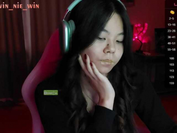 WIN_NIE webcam model stream image