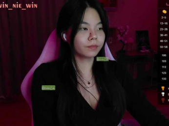WIN_NIE webcam model stream image