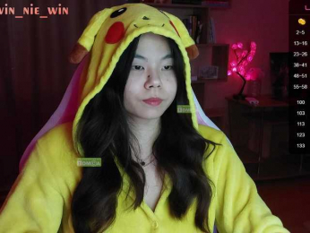 WIN_NIE webcam model stream image