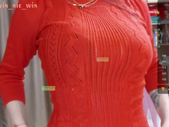 WIN_NIE webcam model stream image