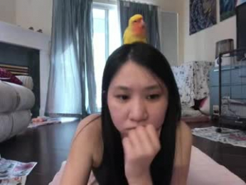 alizezaide webcam model stream image