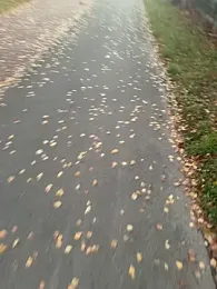 Tomkitomkii webcam model stream image