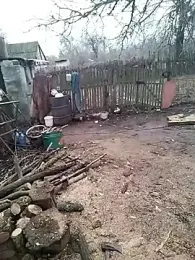 Alexilon webcam model stream image