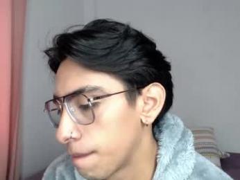 ash_v1 webcam model stream image