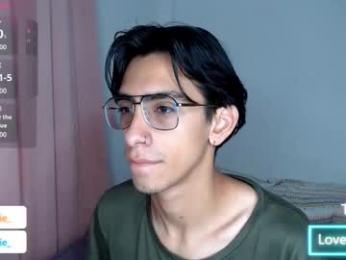 ash_v1 webcam model stream image